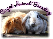 Caged Animal Boarding