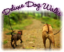 Deluxe Dog Walks