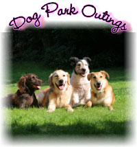 Dog Park Outings