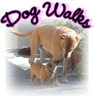 Dog Walks