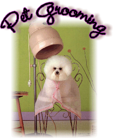 Pet Grooming