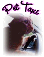 Pet Taxi