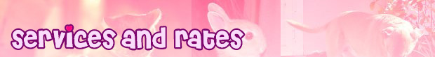 Services and Rates